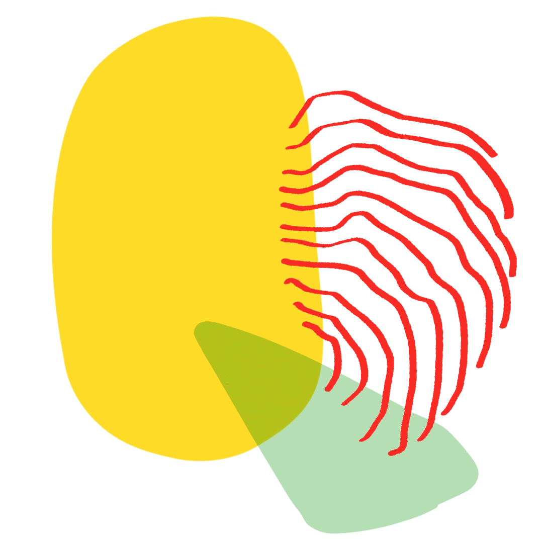 animation de formes
